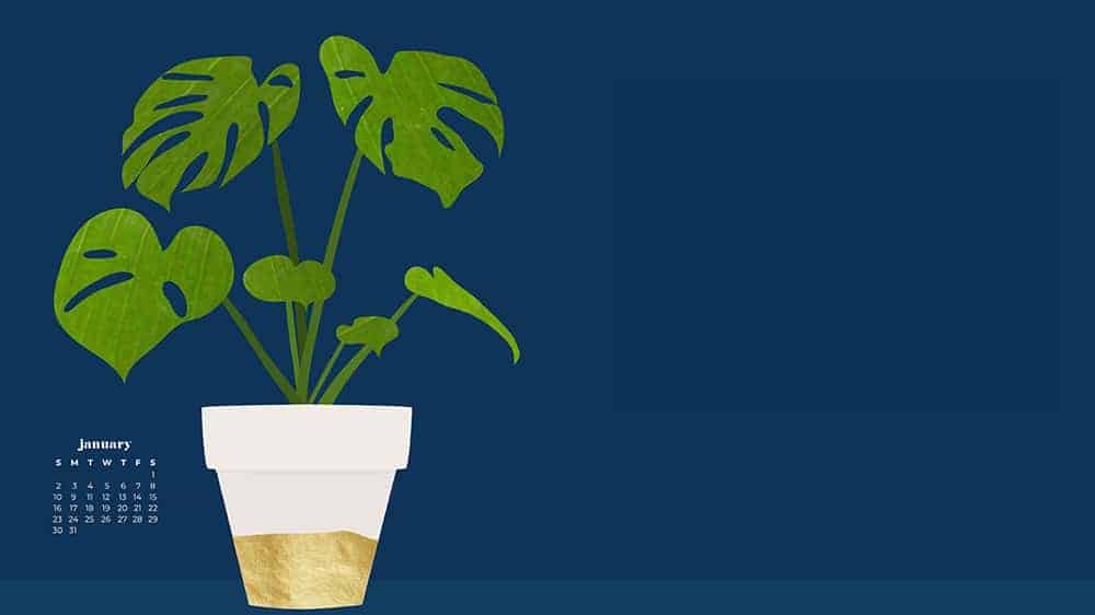 illustrated monstera plant on navy background