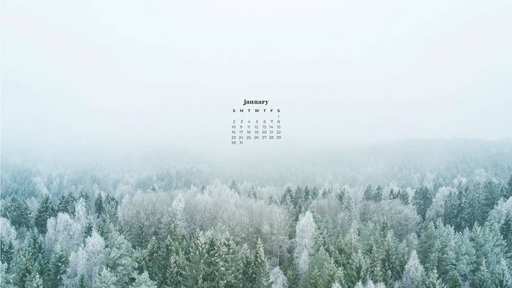 Download January Desktop Wallpapers  Julep