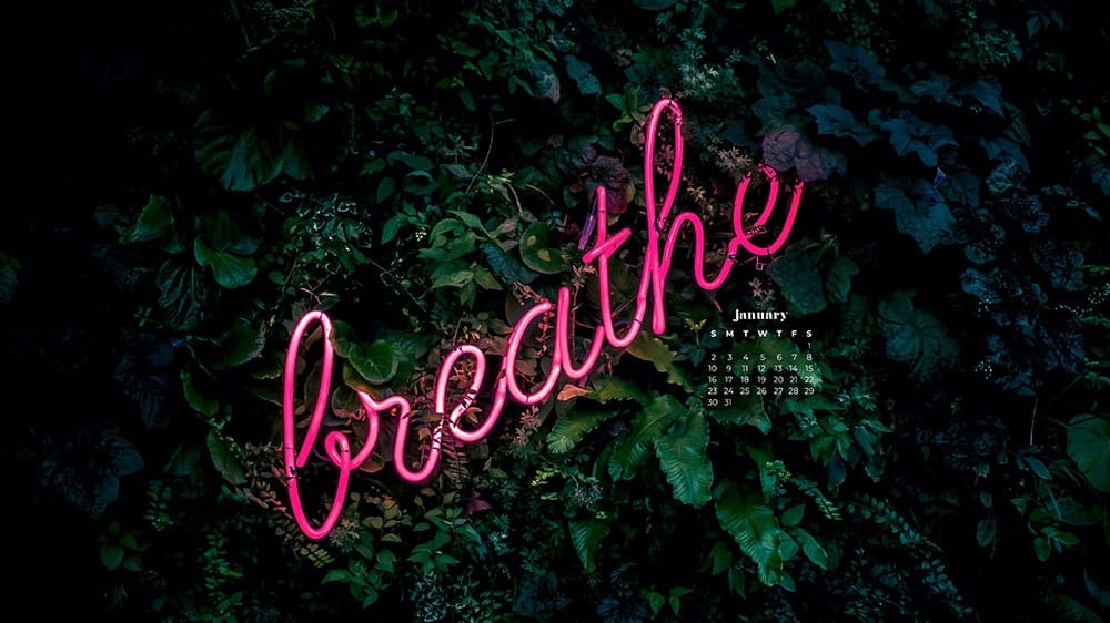 pink breathe neon lights on plant background