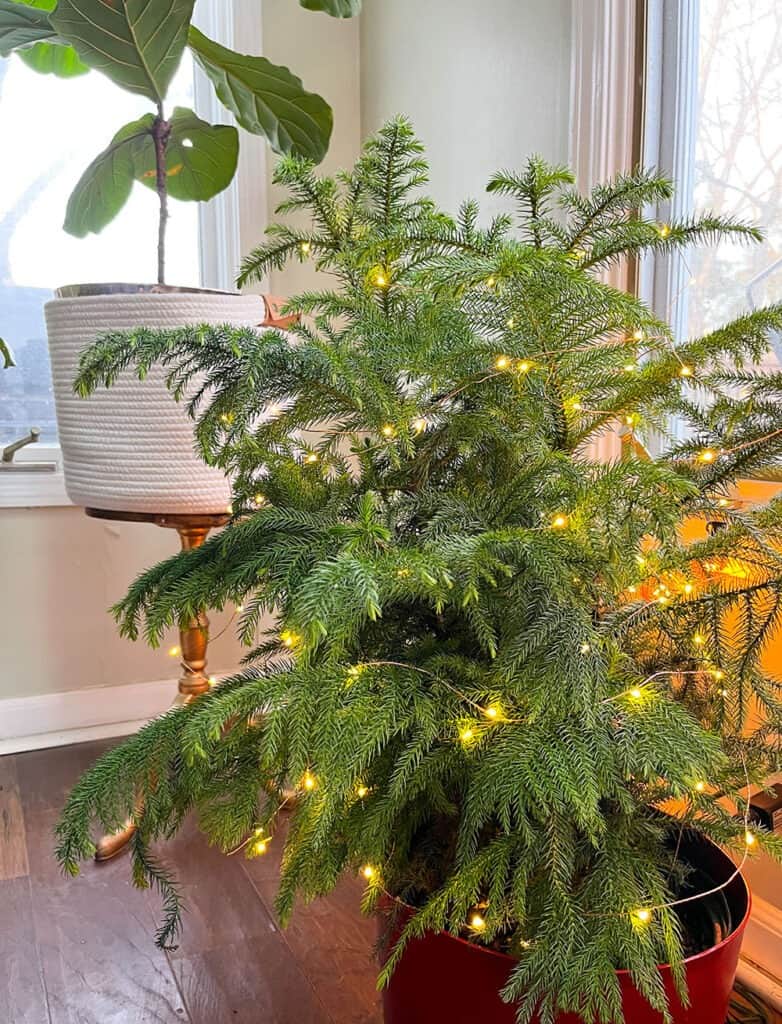 Fairy lights – 5 easy and affordable ideas on how you can use them to create a warm and cozy home year-round! Hygge style!