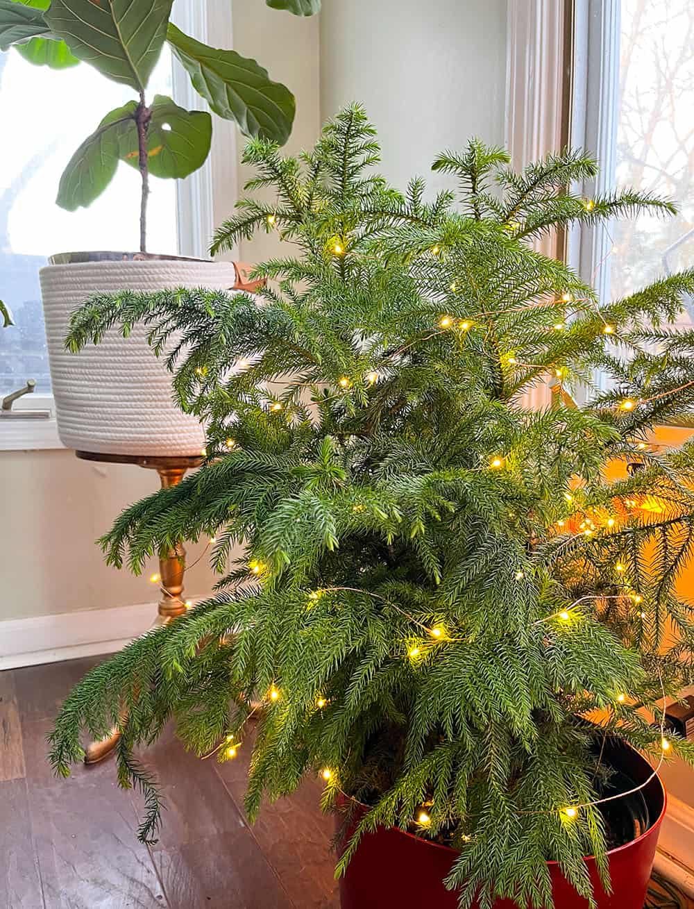 Fairy lights 5 easy ideas to create a warm & cozy hygge home.