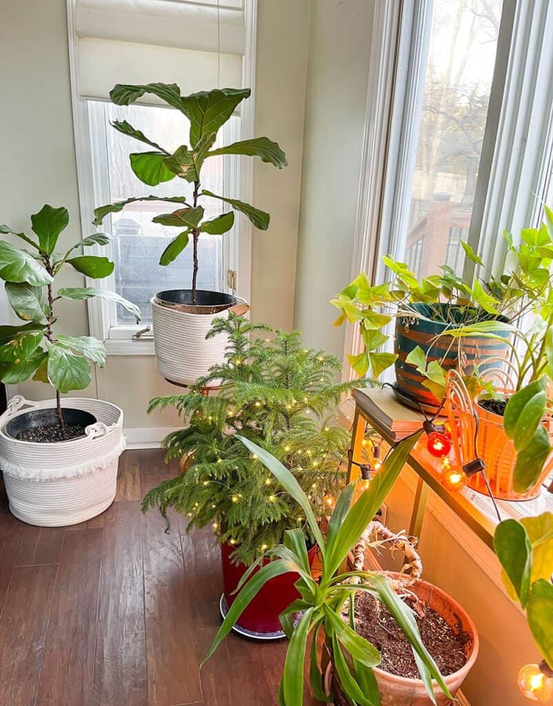 Fairy lights – 5 easy and affordable ideas on how you can use them to create a warm and cozy home year-round! Hygge style!