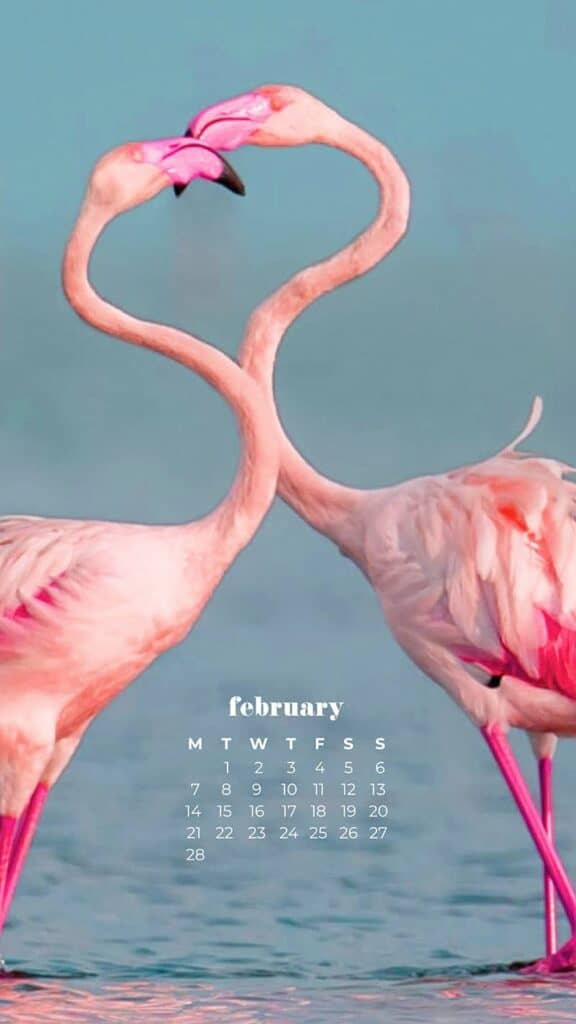 two flamingos in ocean forming heart with neck and beaks - February 2022 wallpapers – 50 FREE calendars for your desktop & phone!