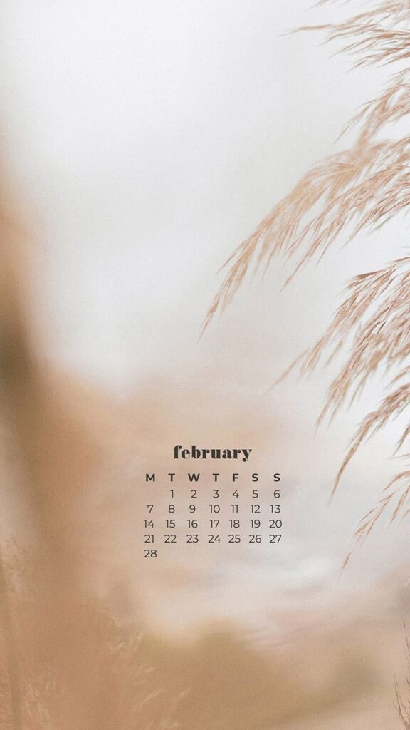 February 2022 bokeh blurred neutral pampas grass on bright sky background - February 2022 wallpapers – 50 FREE calendars for your desktop & phone!