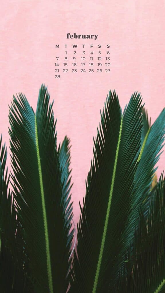 green palm leaf plant on pink wall background