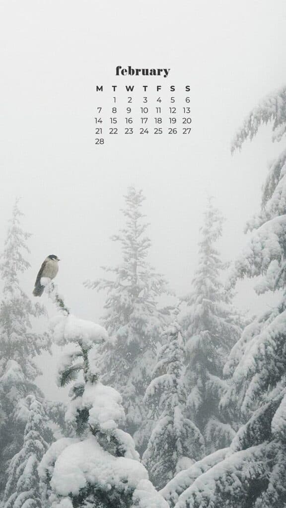 winter snow on evergreen trees with a bird - February 2022 wallpapers – 50 FREE calendars for your desktop & phone!