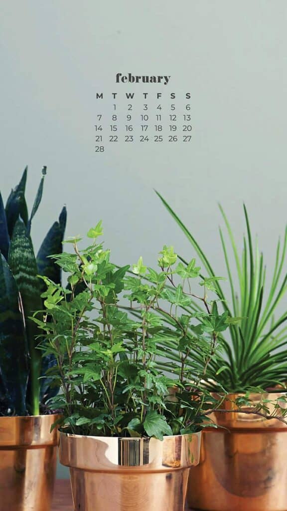 green plants in gold pots with rose gold watering can - February 2022 wallpapers – 50 FREE calendars for your desktop & phone!