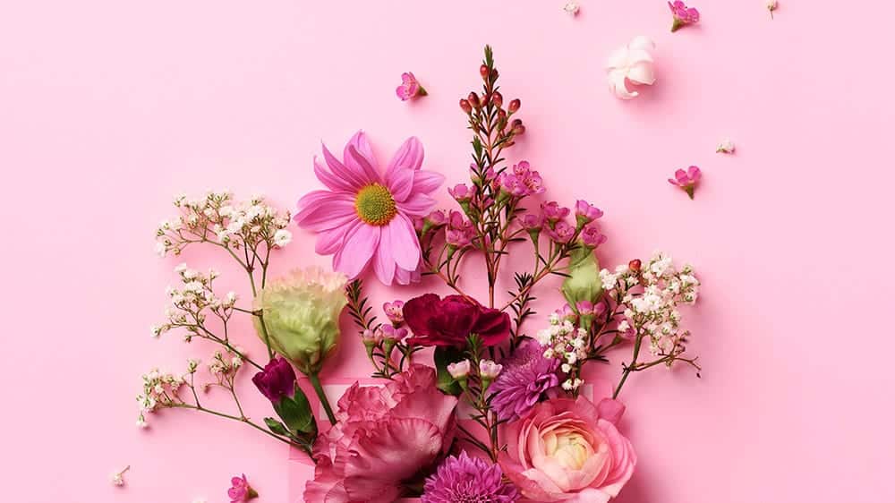 mixed flowers flat lay on a pink background