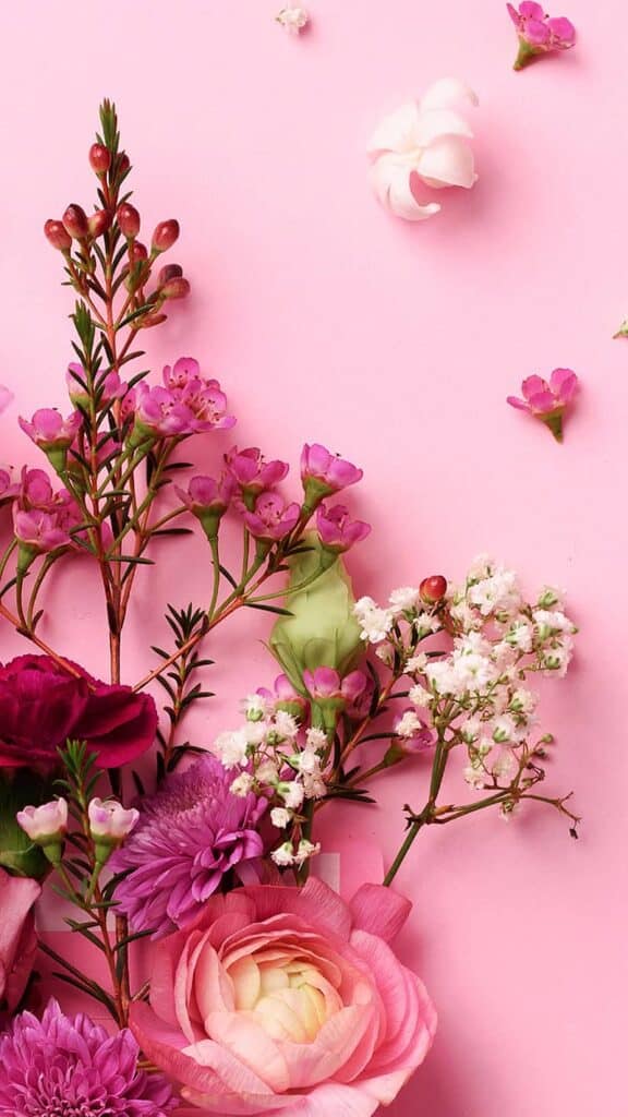 mixed flowers flat lay on a pink background - February 2022 wallpapers – 50 FREE calendars for your desktop & phone!