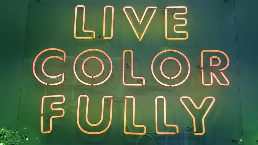 live colorfully colorful neon on green wall background