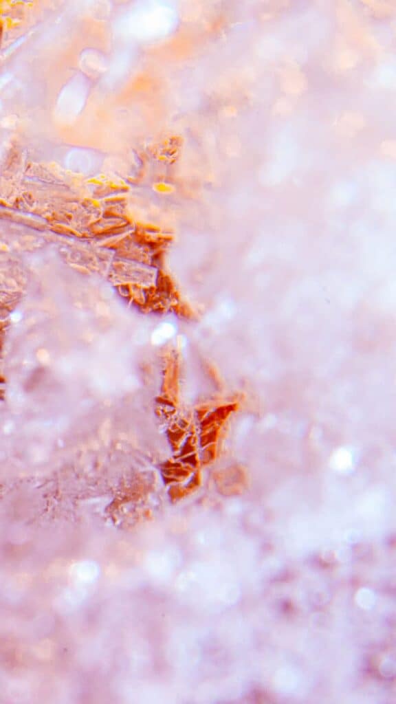 rose and clear crystals closeup