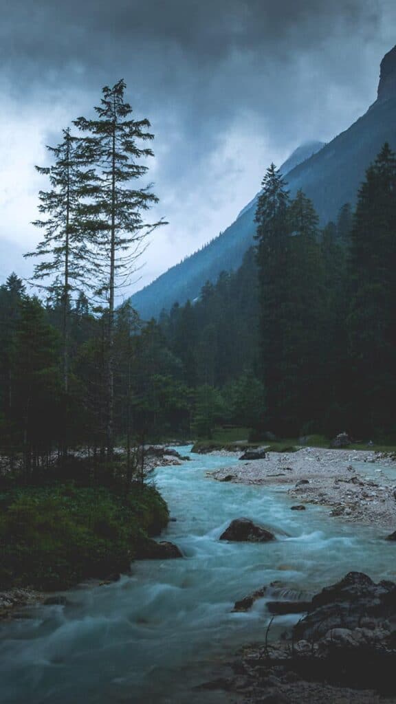 pretty mountain stream and trees