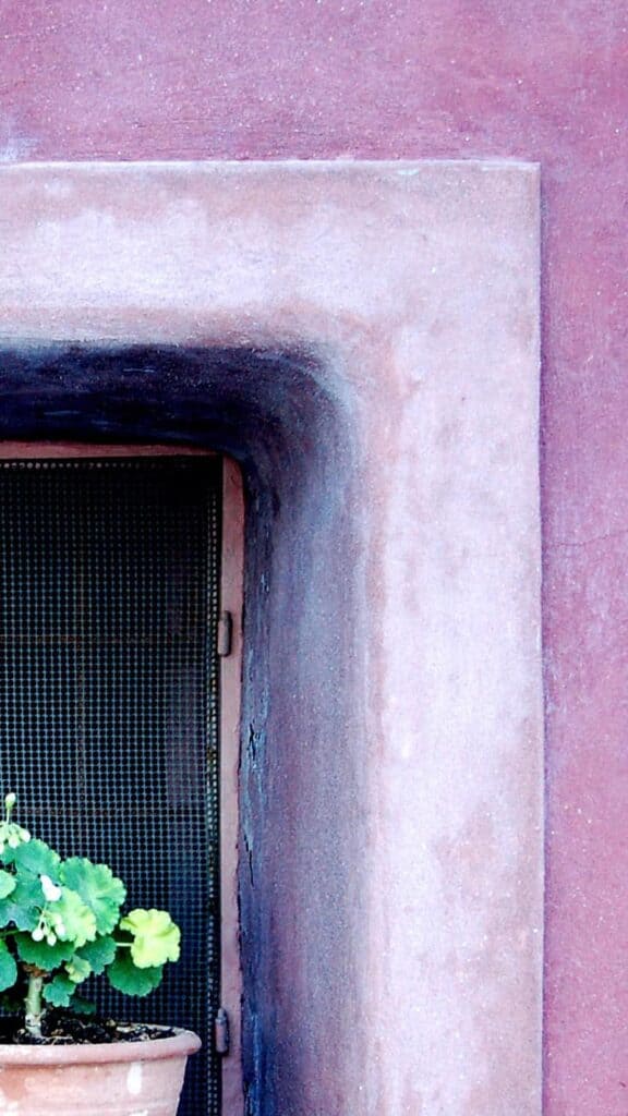 pink stucco wall with cutout and green plant