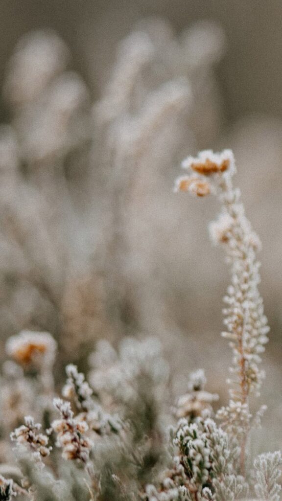 neutral wild flowers on creamy background