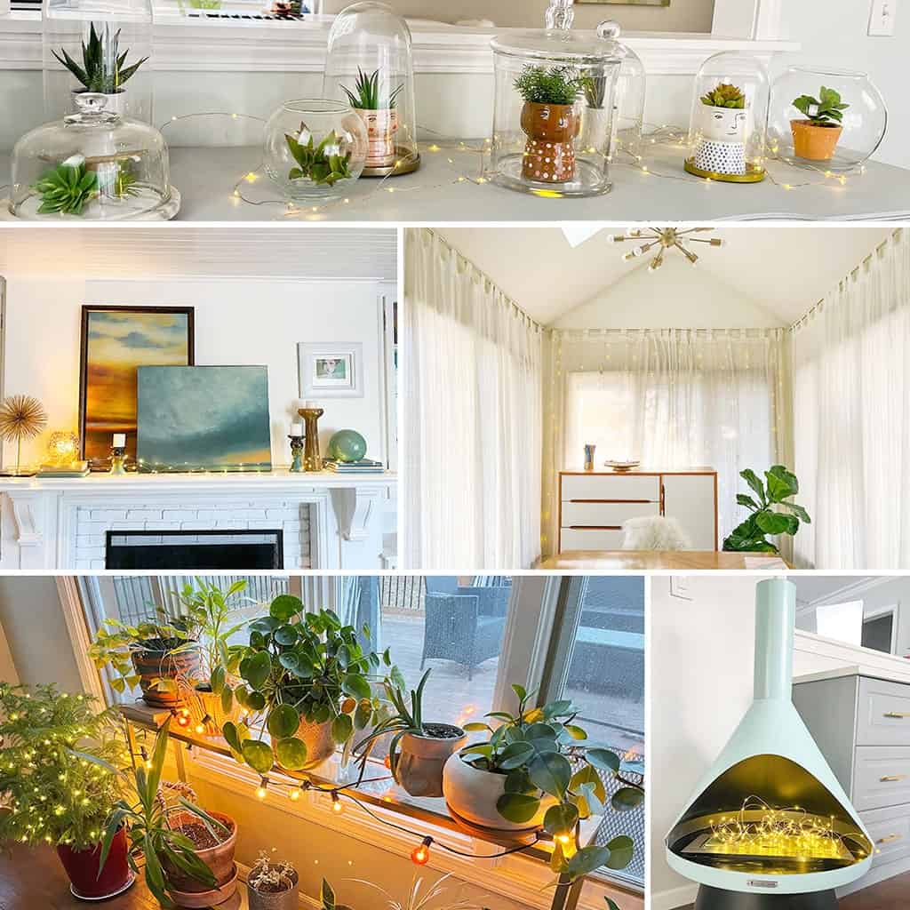 String lights for shop indoor plants