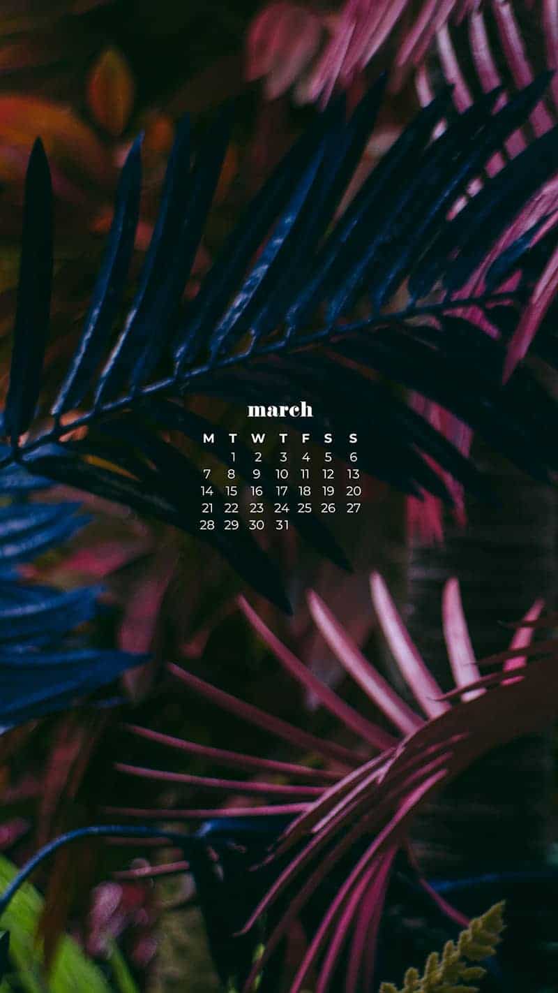 jewel toned palm leafs layers (purple, navy, emerald) - March 2022 free desktop wallpaper