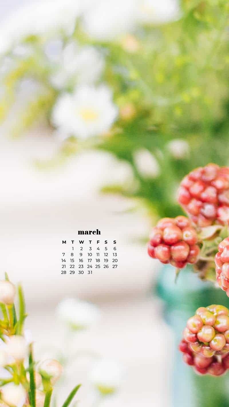 pretty spring flowers - March 2022 free desktop wallpaper