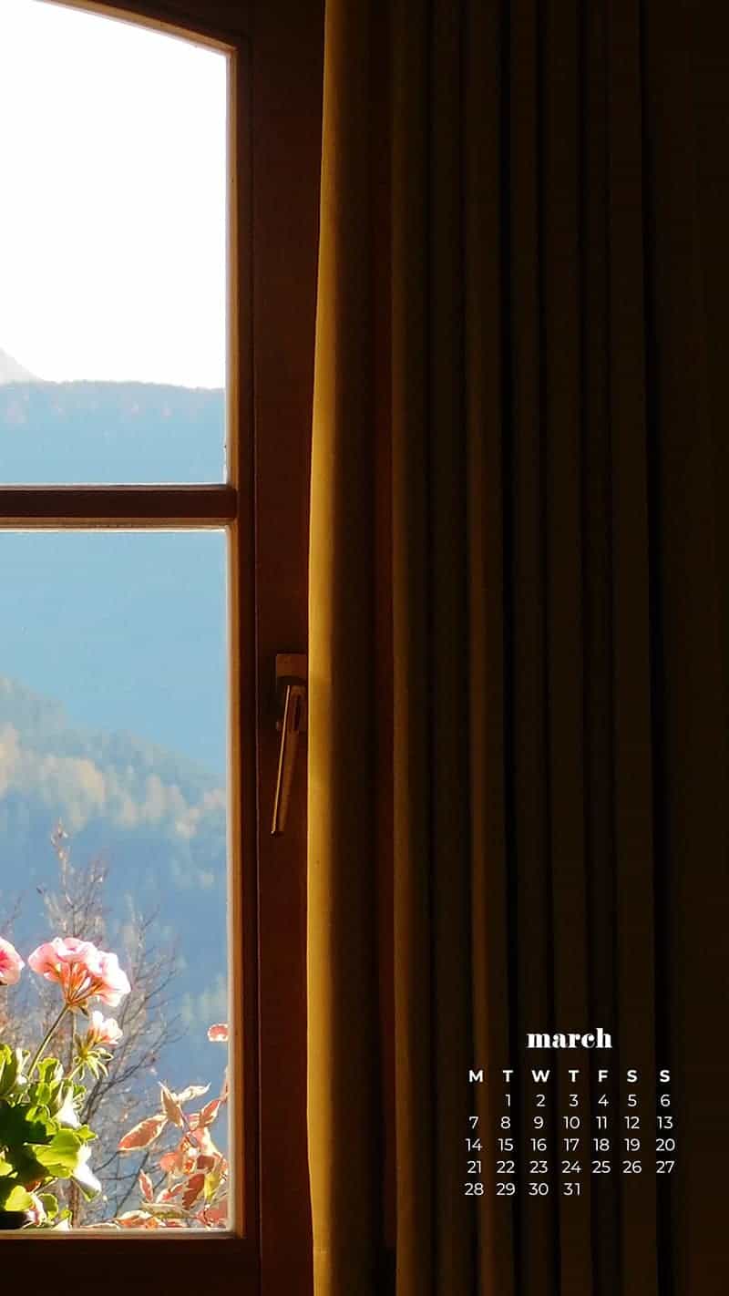 European window with flower box, pendant, and mountain view