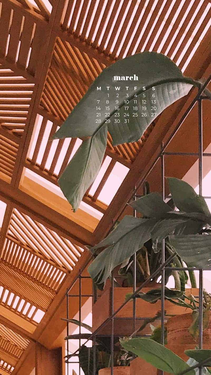 beautiful mid-century wooden detailed ceiling with modern lights and plants - March 2022 free desktop wallpaper