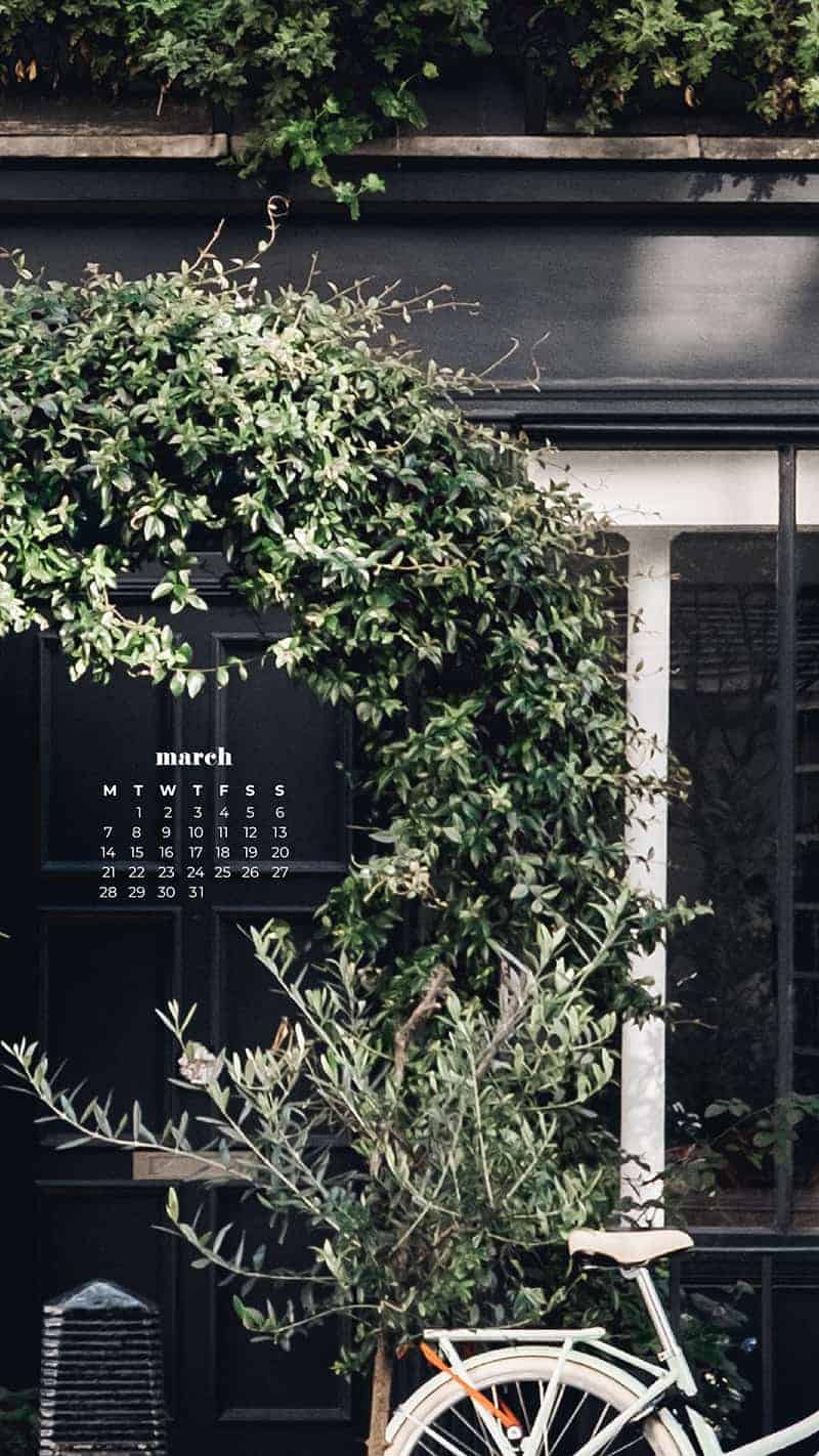 parisian cafe with black door, plants, and bicycle propped along wall - March 2022 free desktop wallpaper