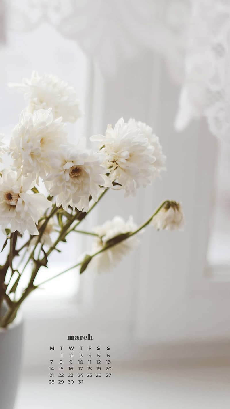 white carnation flowers in a vase near a lacy white curtain - March 2022 free desktop wallpaper