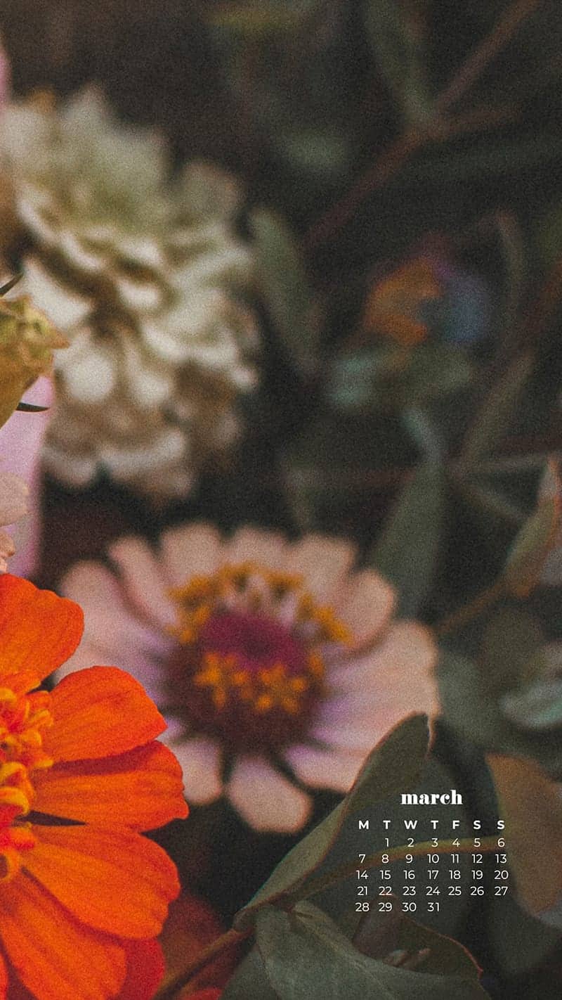 bouquet of flowers in retro shades, orange, pink, green- March 2022 free desktop wallpaper