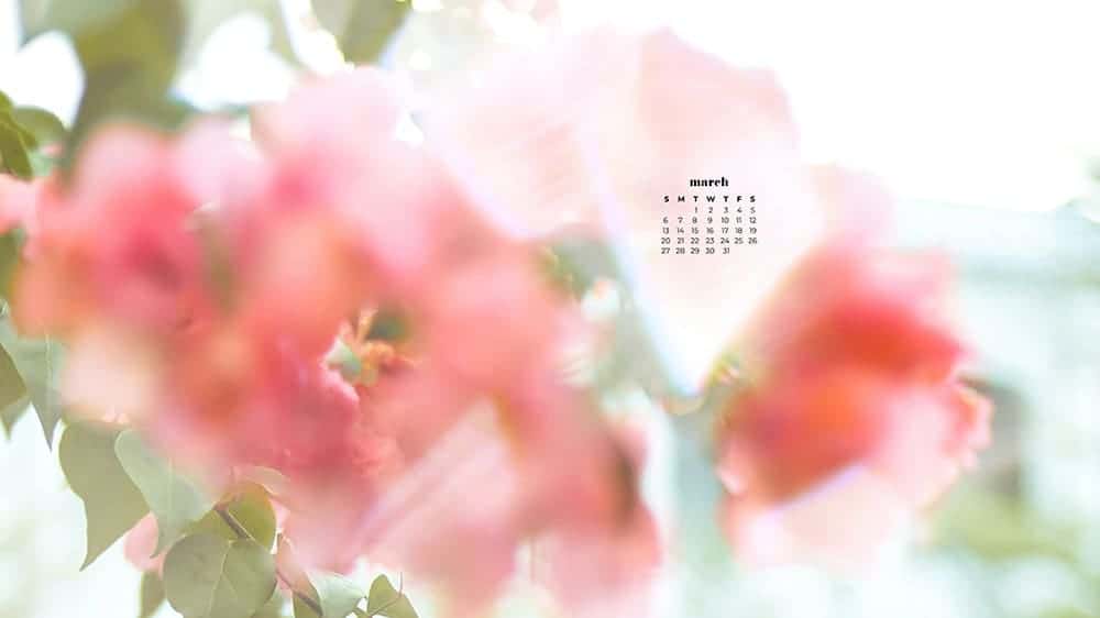 57 FREE MARCH 2022 DESKTOP WALLPAPERS &#8211; DRESS YOUR TECH FOR SPRING!, Oh So Lovely Blog