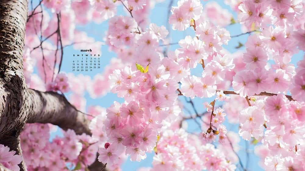 57 FREE MARCH 2022 DESKTOP WALLPAPERS &#8211; DRESS YOUR TECH FOR SPRING!, Oh So Lovely Blog