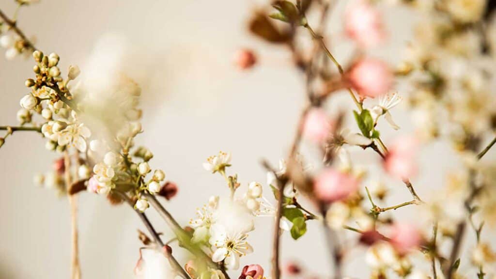 55 FREE APRIL 2022 DESKTOP WALLPAPERS – FRESH DESIGNS FOR SPRING!, Oh So Lovely Blog