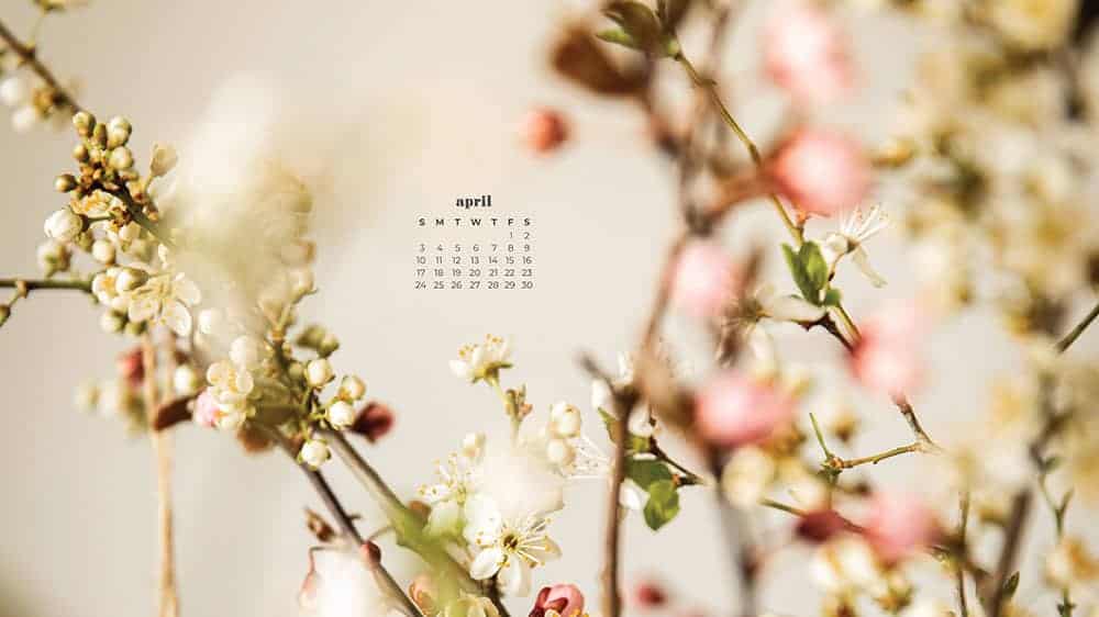 April 2022 - FREE wallpaper calendars in Sunday & Monday starts + no-calendar designs. 55 springy options for both desktop and smart phones!