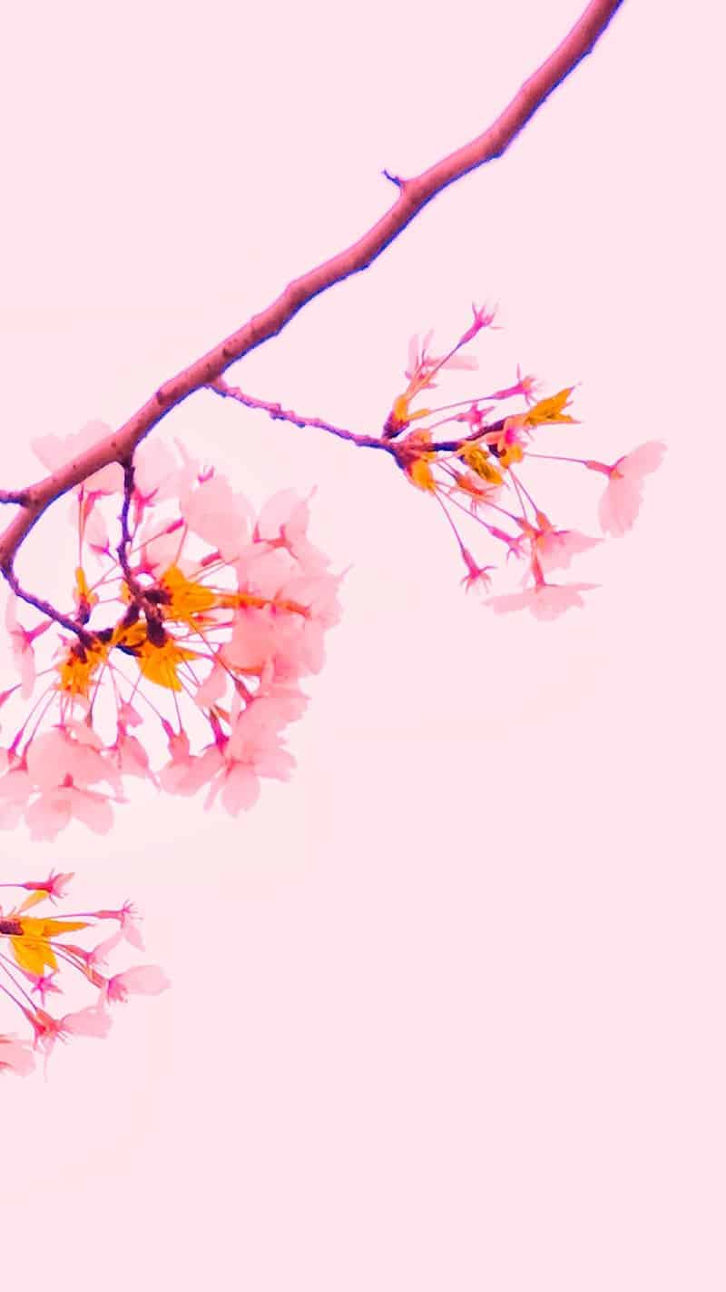 55 FREE APRIL 2022 DESKTOP WALLPAPERS – FRESH DESIGNS FOR SPRING!, Oh So Lovely Blog