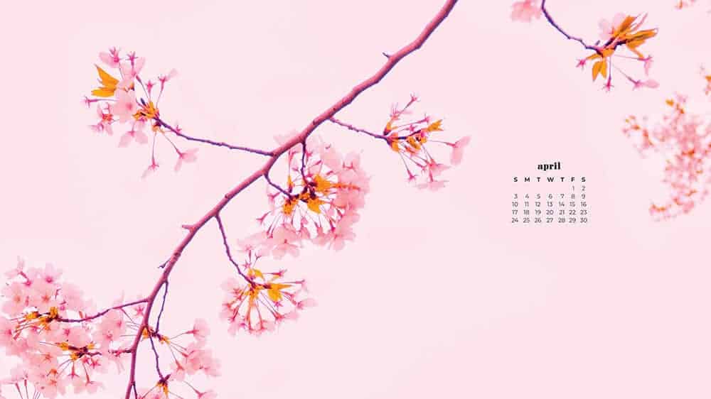 April 2022 - FREE wallpaper calendars in Sunday & Monday starts + no-calendar designs. 55 springy options for both desktop and smart phones!