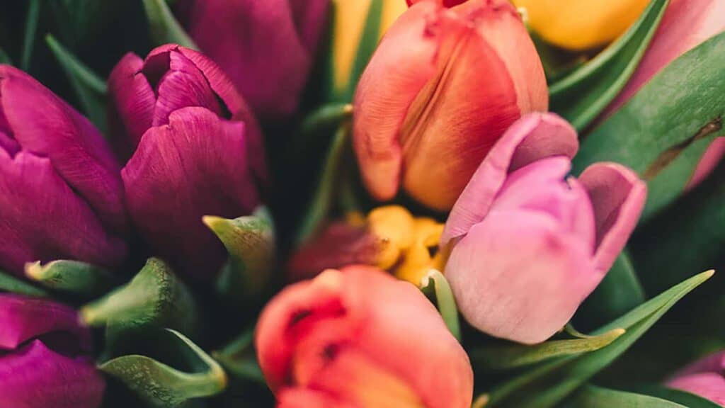 55 FREE APRIL 2022 DESKTOP WALLPAPERS – FRESH DESIGNS FOR SPRING!, Oh So Lovely Blog