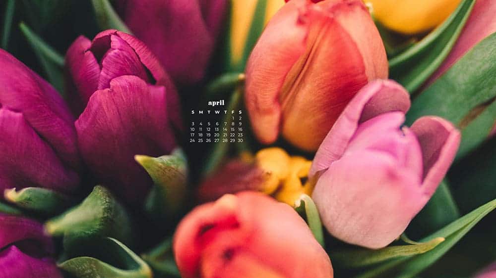 April 2022 - FREE wallpaper calendars in Sunday & Monday starts + no-calendar designs. 55 springy options for both desktop and smart phones!