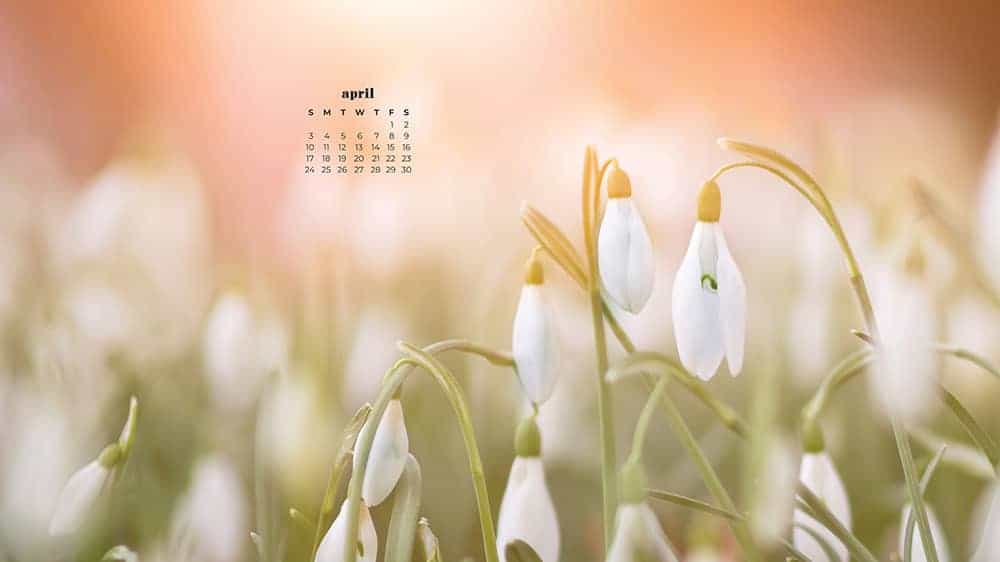 April 2022 - FREE wallpaper calendars in Sunday & Monday starts + no-calendar designs. 55 springy options for both desktop and smart phones!