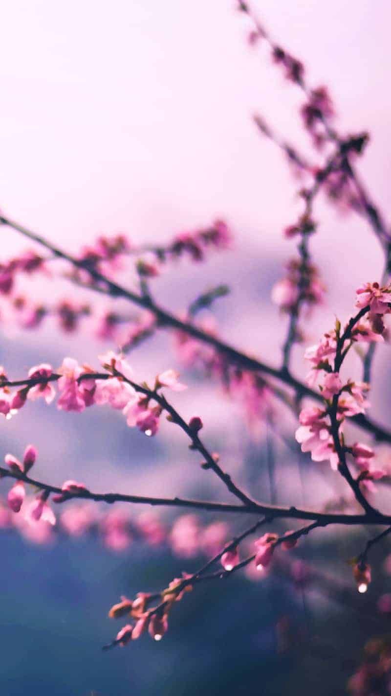 55 FREE APRIL 2022 DESKTOP WALLPAPERS – FRESH DESIGNS FOR SPRING!, Oh So Lovely Blog