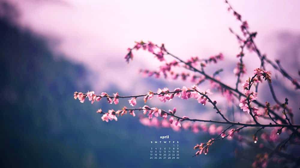 April 2022 - FREE wallpaper calendars in Sunday & Monday starts + no-calendar designs. 55 springy options for both desktop and smart phones!