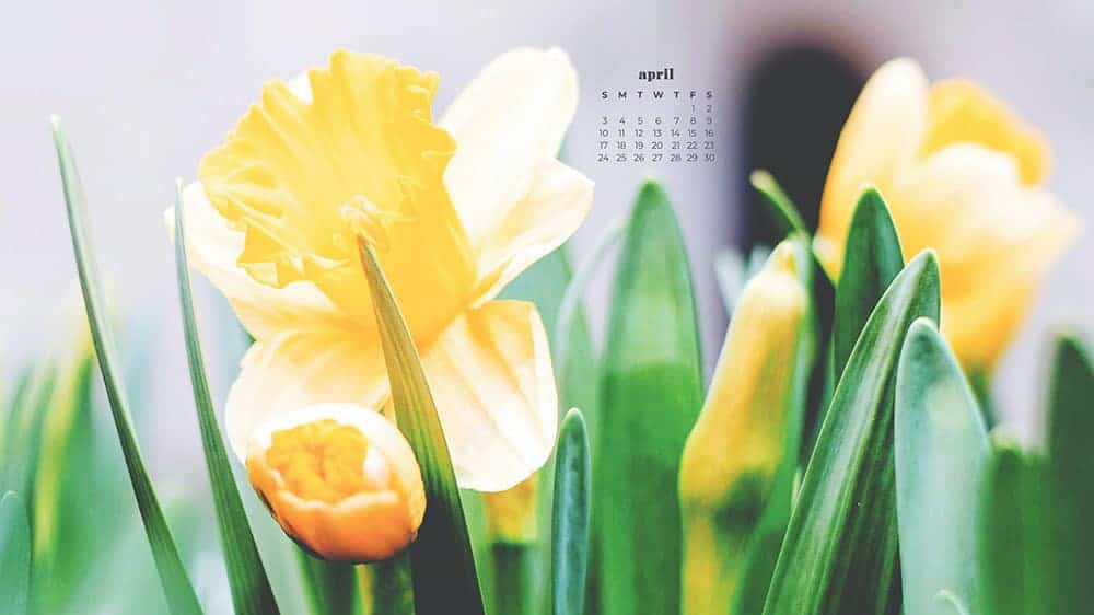 April 2022 - FREE wallpaper calendars in Sunday & Monday starts + no-calendar designs. 55 springy options for both desktop and smart phones!