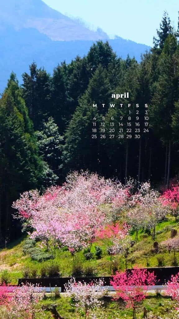 55 FREE APRIL 2022 DESKTOP WALLPAPERS – FRESH DESIGNS FOR SPRING!, Oh So Lovely Blog