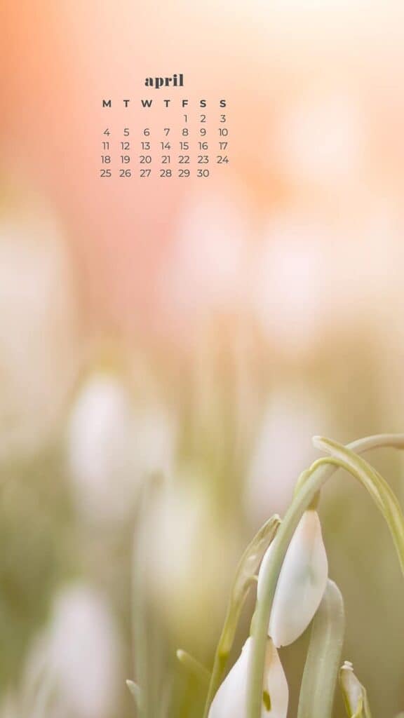 55 FREE APRIL 2022 DESKTOP WALLPAPERS – FRESH DESIGNS FOR SPRING!, Oh So Lovely Blog