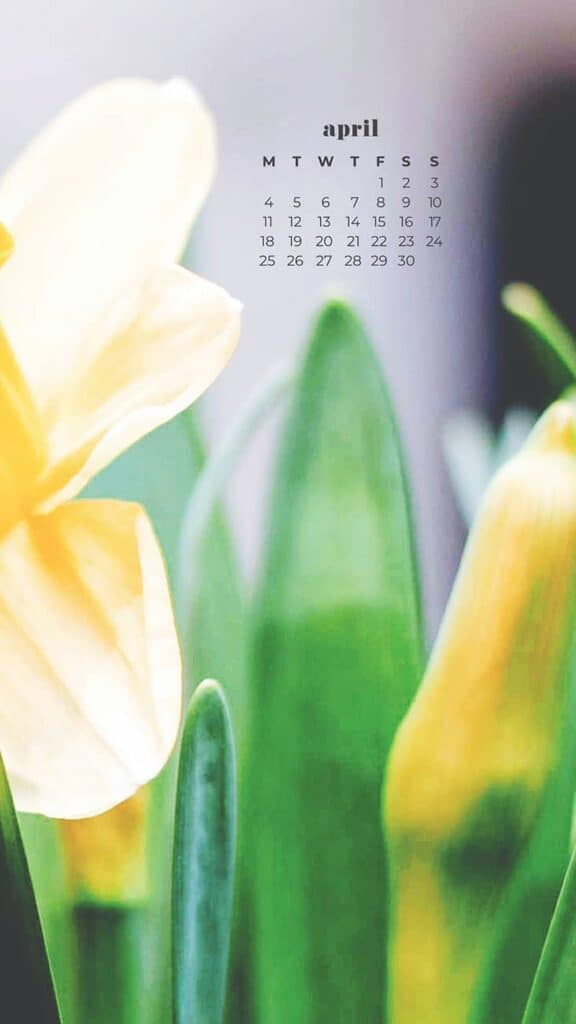 55 FREE APRIL 2022 DESKTOP WALLPAPERS – FRESH DESIGNS FOR SPRING!, Oh So Lovely Blog