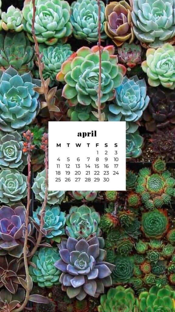 55 FREE APRIL 2022 DESKTOP WALLPAPERS – FRESH DESIGNS FOR SPRING!, Oh So Lovely Blog