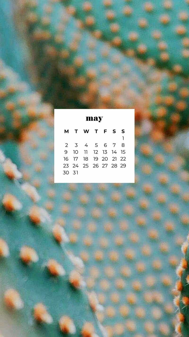 55 FREE MAY 2022 DESKTOP WALLPAPERS – FRESH AND FUN DESIGNS!, Oh So Lovely Blog