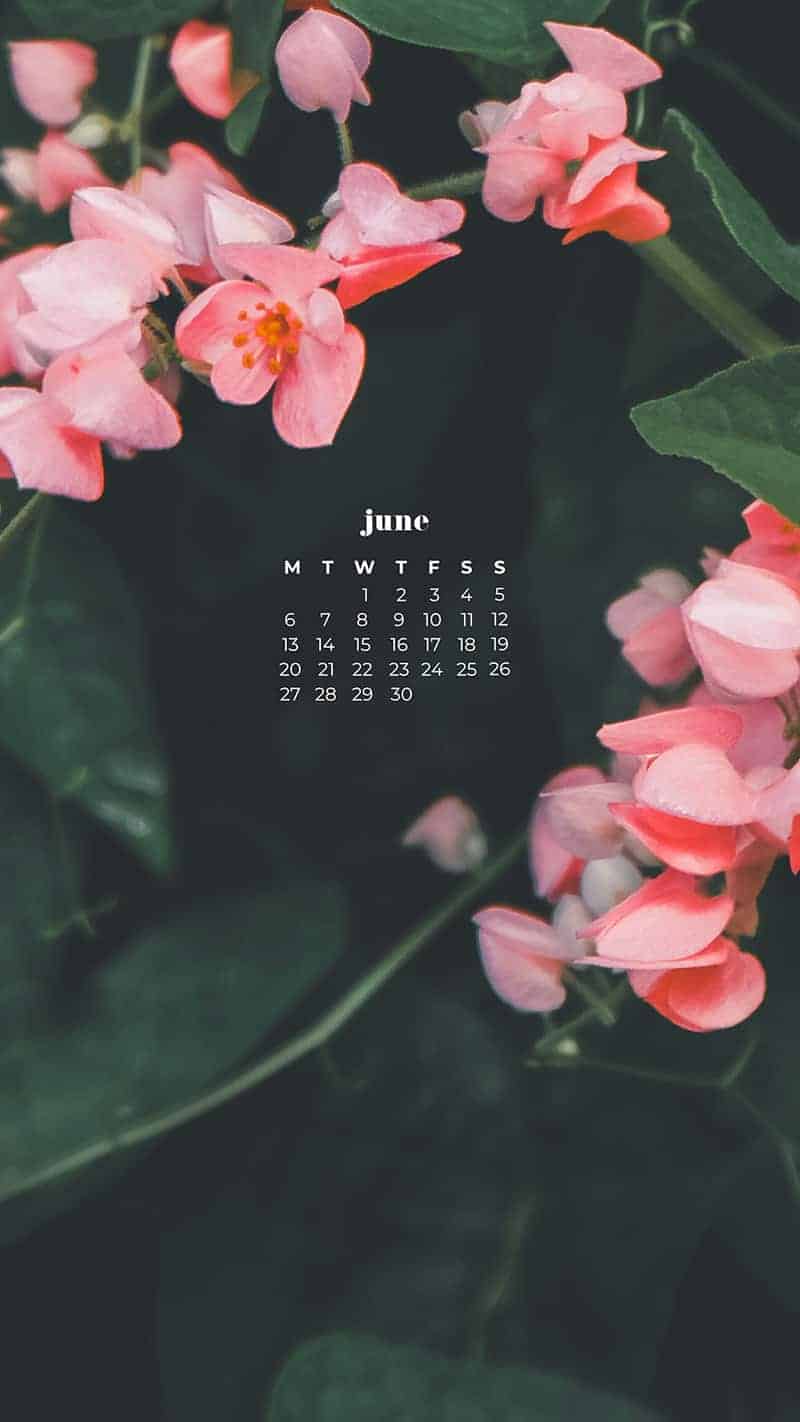 55 FREE JUNE 2022 PHONE &#038; DESKTOP WALLPAPERS – DRESS YOUR TECH!, Oh So Lovely Blog