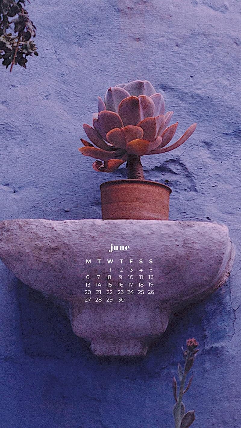 55 FREE JUNE 2022 PHONE &#038; DESKTOP WALLPAPERS – DRESS YOUR TECH!, Oh So Lovely Blog