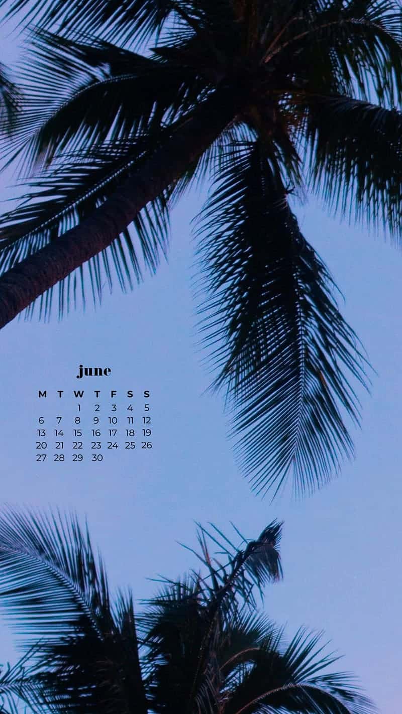 55 FREE JUNE 2022 PHONE &#038; DESKTOP WALLPAPERS – DRESS YOUR TECH!, Oh So Lovely Blog