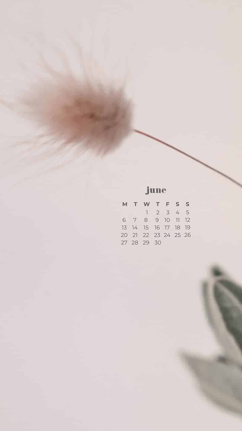 55 FREE JUNE 2022 PHONE &#038; DESKTOP WALLPAPERS – DRESS YOUR TECH!, Oh So Lovely Blog