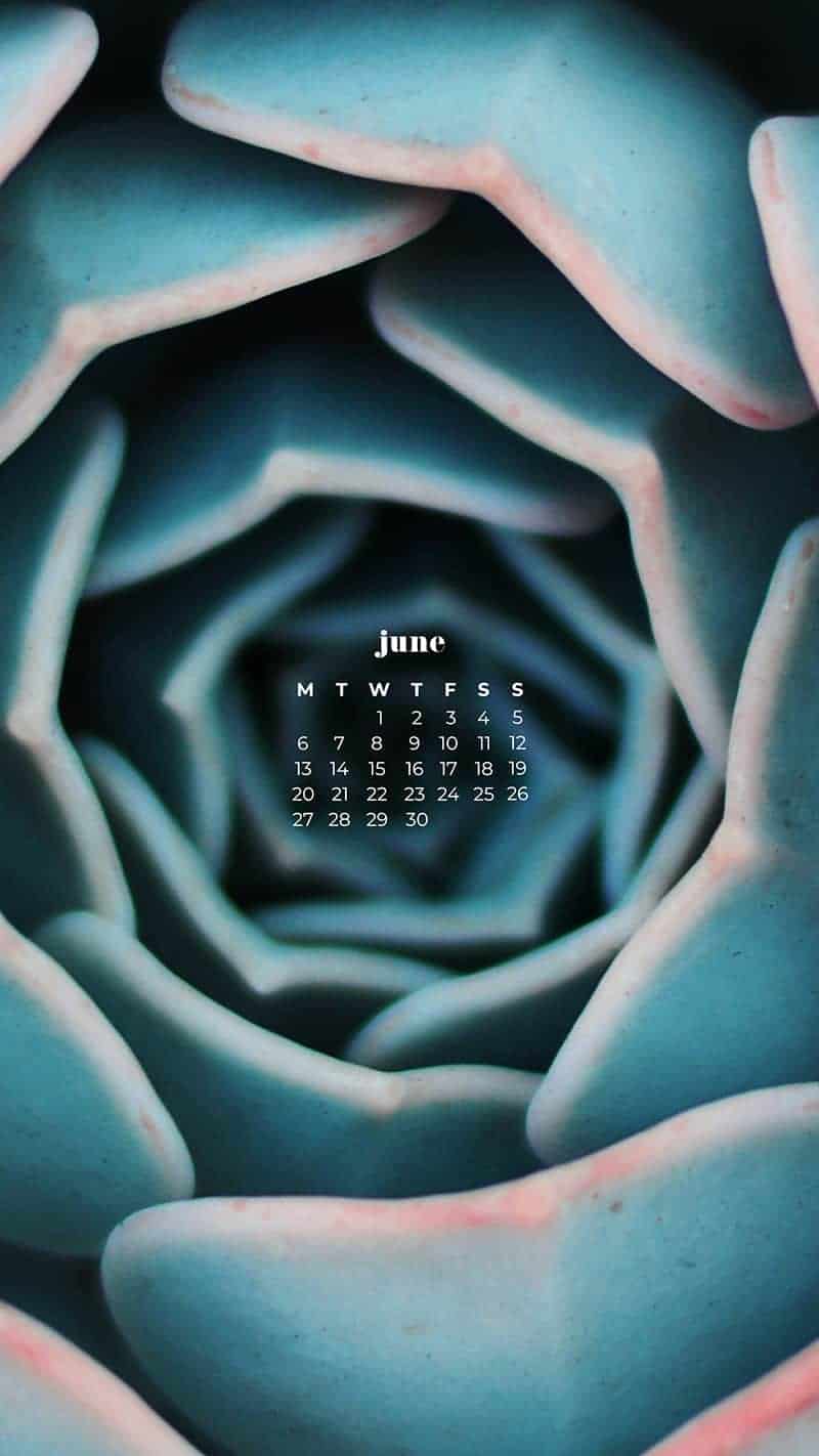 55 FREE JUNE 2022 PHONE &#038; DESKTOP WALLPAPERS – DRESS YOUR TECH!, Oh So Lovely Blog