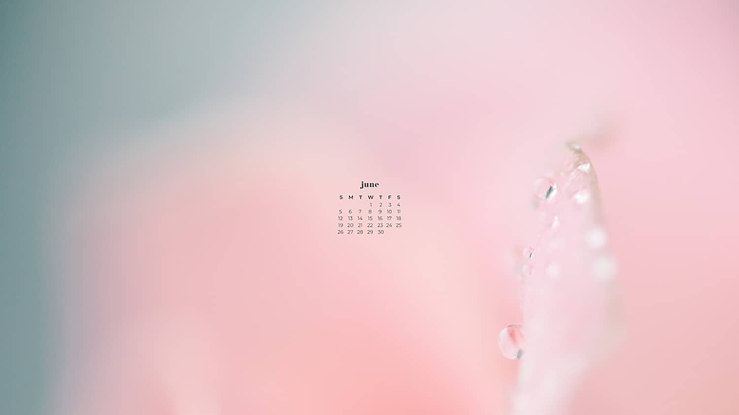 June 2022 wallpapers 55 FREE calendars for your desktop & phone!