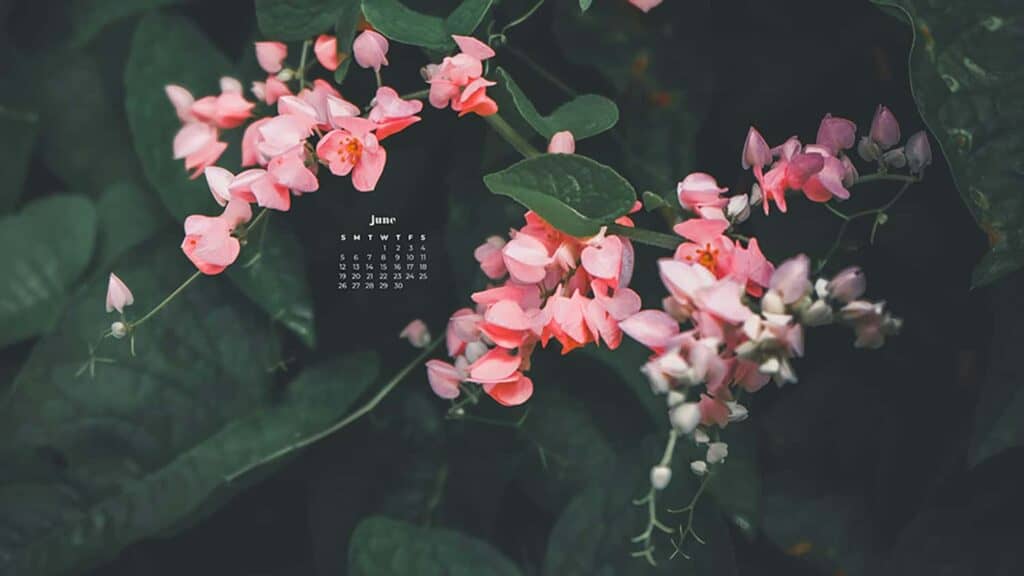 July 2022 Calendar Wallpapers  Wallpaper Cave